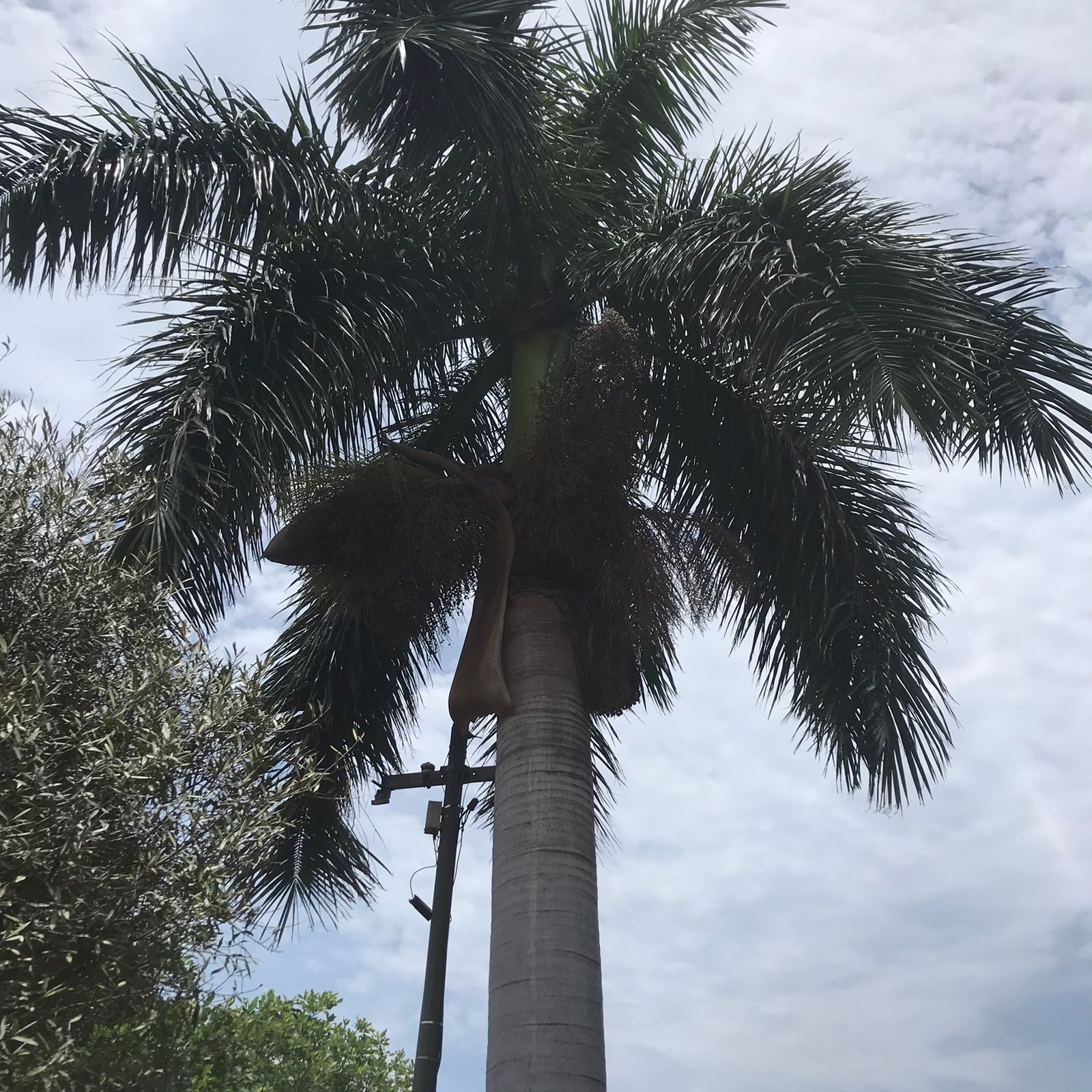 WhatsApp Image 2025-01-23 at 08.02.09_ba146466 WhatsApp Image 2025-01-23 at 08.02.09_ba146466